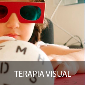 Cursos de Terapia visual para profesionales de la salud visual