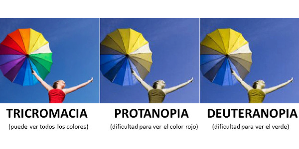Imagen Daltonismo: qué es, síntomas, tipos, causas y tratamiento | Asociación Española de Optometristas Unidos