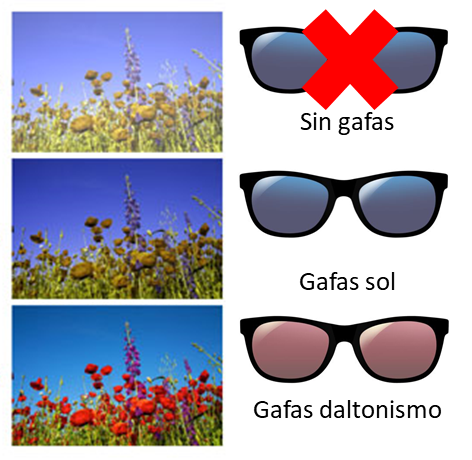 Lentes para daltonismo Asociación Española de Optometristas Unidos Imagen lentes para daltonismo de la Asociación Española de Optometristas Unidos